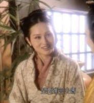 金俗简介_汉武帝同母异父的姐姐金俗个人资料
