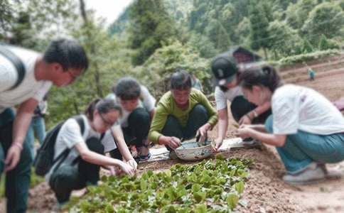 三下乡社会实践活动总结