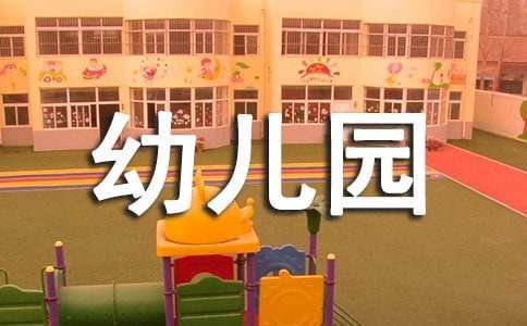 幼儿园教师试用期个人工作总结14篇