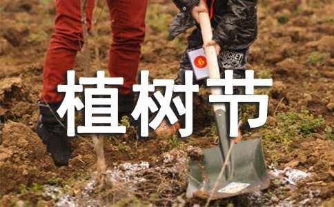 学校植树节活动总结