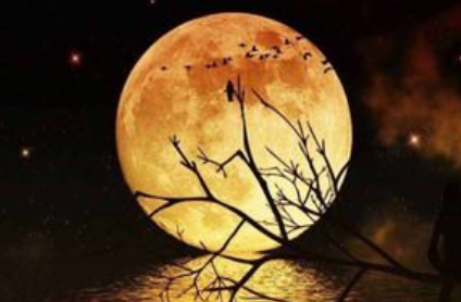 《明月皎夜光》是哪位诗人的作品？怎么翻译呢？